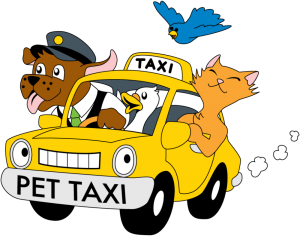 pet-taxi-cartoon-1