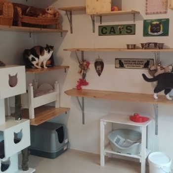 20150521_194602 (Kopie) 20150521_194602 (Kopie)