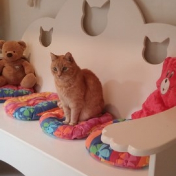 20150521_200241 (Kopie) 20150521_200241 (Kopie)