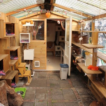 IMG_0715 (1600px) IMG_0715 (1600px)