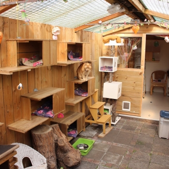 IMG_0717 (1600px) IMG_0717 (1600px)