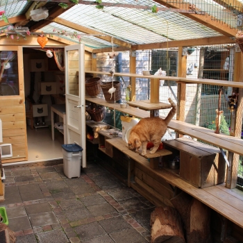 IMG_0719 (1600px) IMG_0719 (1600px)