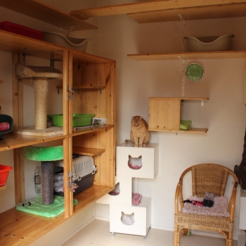 IMG_0720 (1600px) IMG_0720 (1600px)