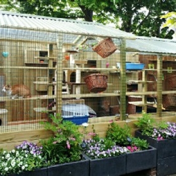 wp61c1faaa_05_06 wp61c1faaa_05_06