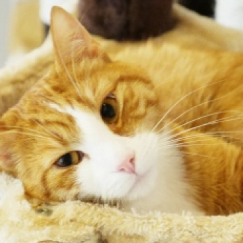 wp7c0d83ce_05_06 wp7c0d83ce_05_06