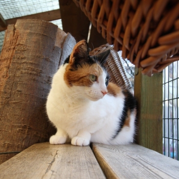 IMG_0834 1276px IMG_0834 1276px