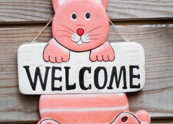 Roze welkom kat